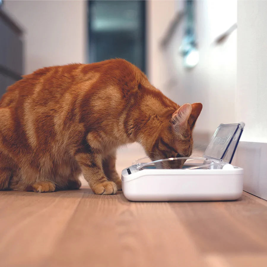SureFeed Microchip Pet Feeder Connect for Cats & Small Dogs – White