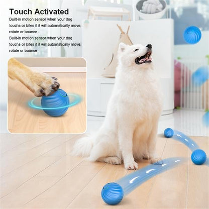 Interactive Rolling Dog Toy Ball – USB Rechargeable Smart Pet Toy | Bakewell Pet Supplies