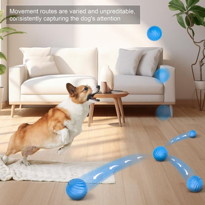 Interactive Rolling Dog Toy Ball – USB Rechargeable Smart Pet Toy | Bakewell Pet Supplies