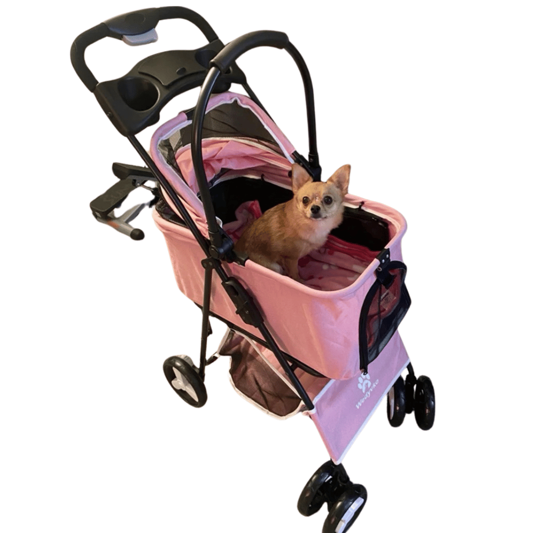 Large Collapsible Pet Stroller with Storage Compartment