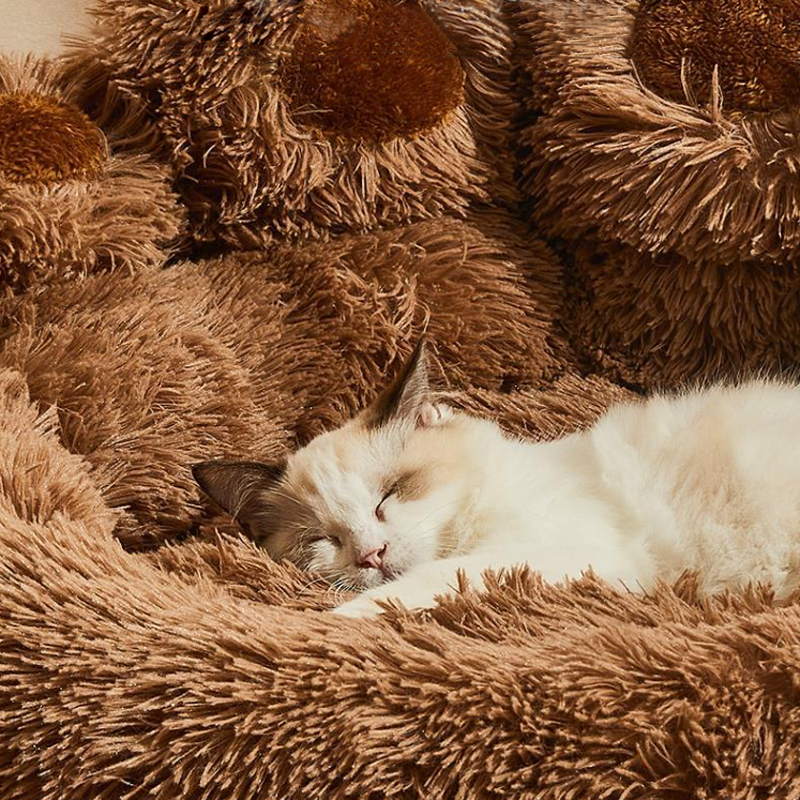 Comfort Paw Pet Bed