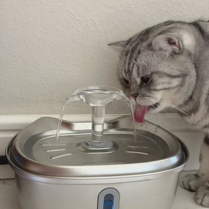 Stainless Steel Cat Water Fountain