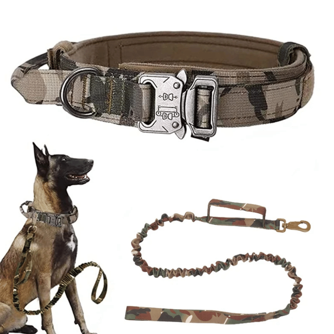 Tactical Dog Collar And Leash Set For Large Dogs