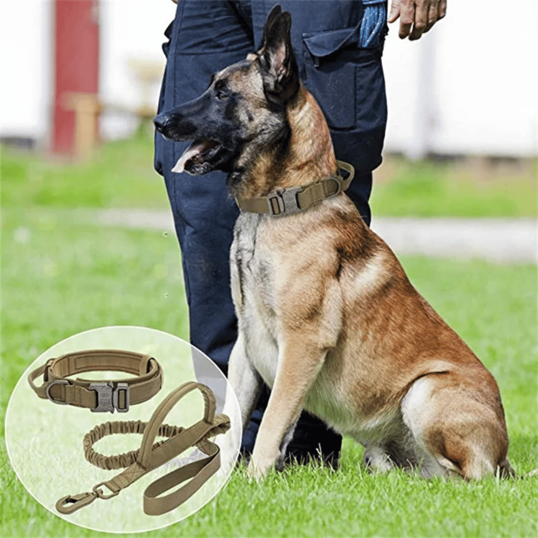 Tactical Dog Collar And Leash Set For Large Dogs