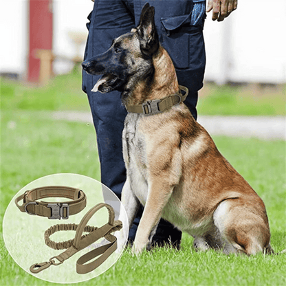 Tactical Dog Collar And Leash Set For Large Dogs