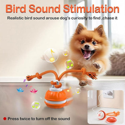 Interactive Rolling Dog Toy Ball – USB Rechargeable Smart Pet Toy | Bakewell Pet Supplies