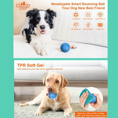Interactive Rolling Dog Toy Ball – USB Rechargeable Smart Pet Toy | Bakewell Pet Supplies