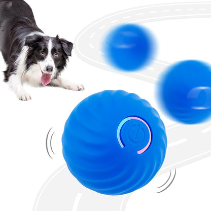 Interactive Rolling Dog Toy Ball – USB Rechargeable Smart Pet Toy | Bakewell Pet Supplies