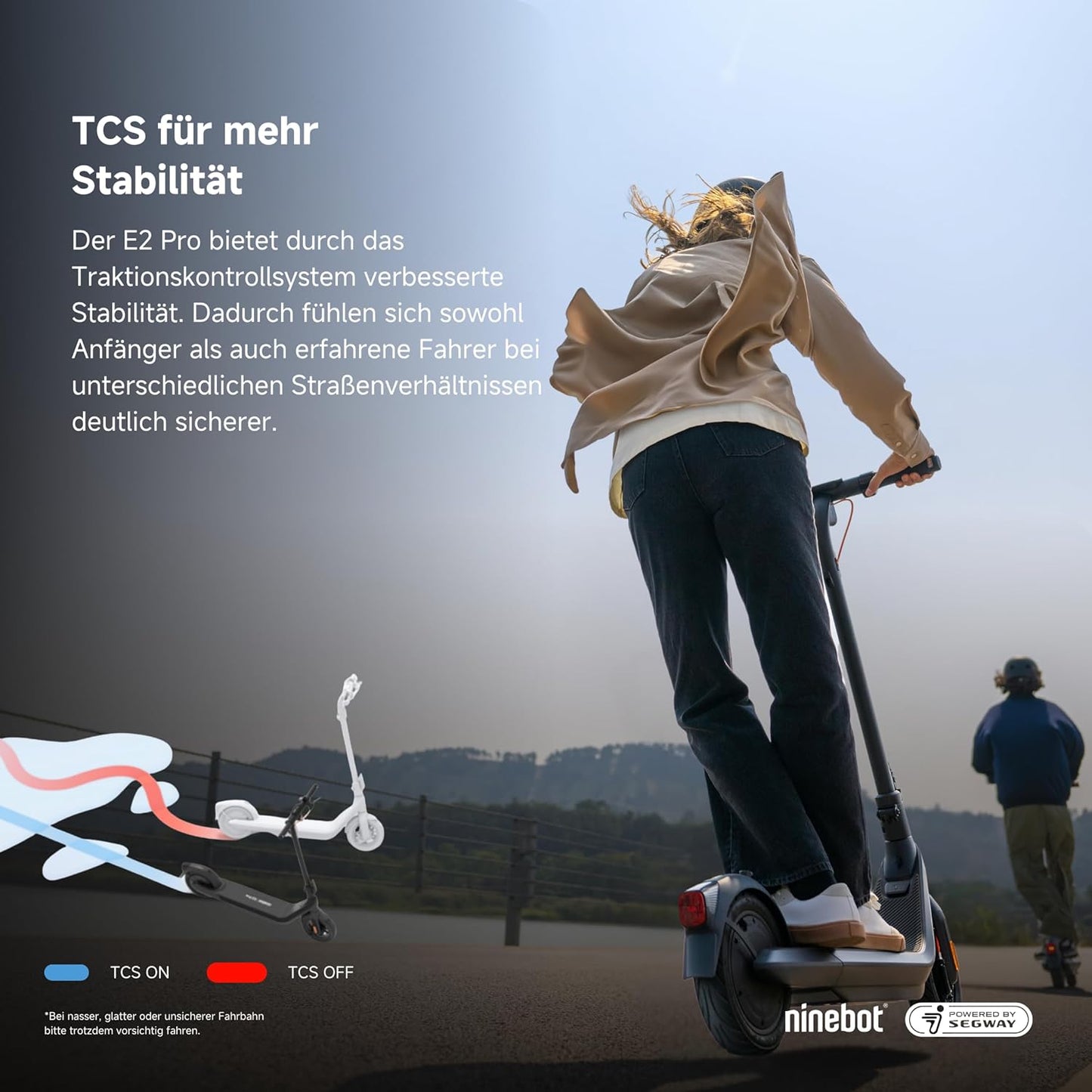 Segway-Ninebot E2 Pro D E-Scooter, 20 km/h, Up to 35 km Range, 275 Wh Battery, 10 Zoll Tubeless Pneumatic Tyres, TCS, Dual Braking System, LED Display, Foldable, Black