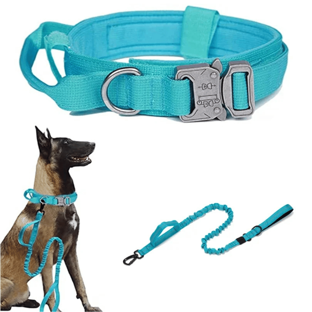 Tactical Dog Collar And Leash Set For Large Dogs