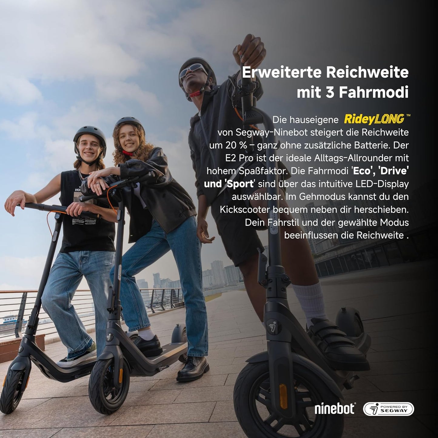 Segway-Ninebot E2 Pro D E-Scooter, 20 km/h, Up to 35 km Range, 275 Wh Battery, 10 Zoll Tubeless Pneumatic Tyres, TCS, Dual Braking System, LED Display, Foldable, Black