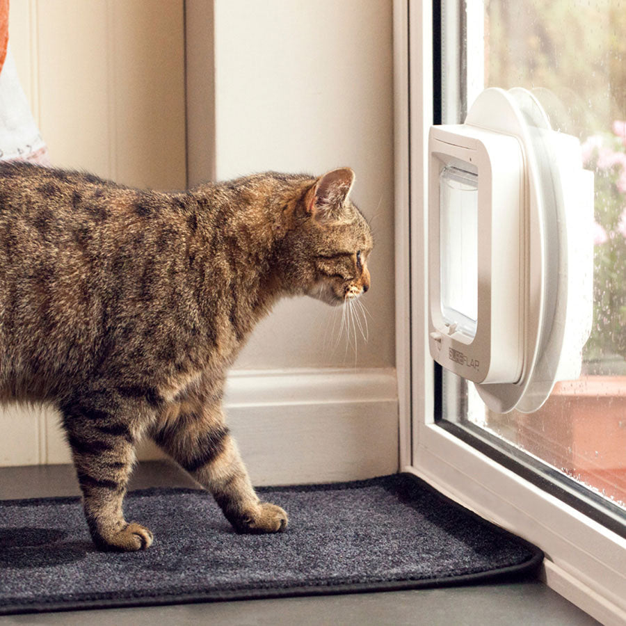 SureFlap Microchip Cat Flap – White Small Pet Door