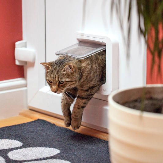 SureFlap Microchip Cat Flap – White Small Pet Door