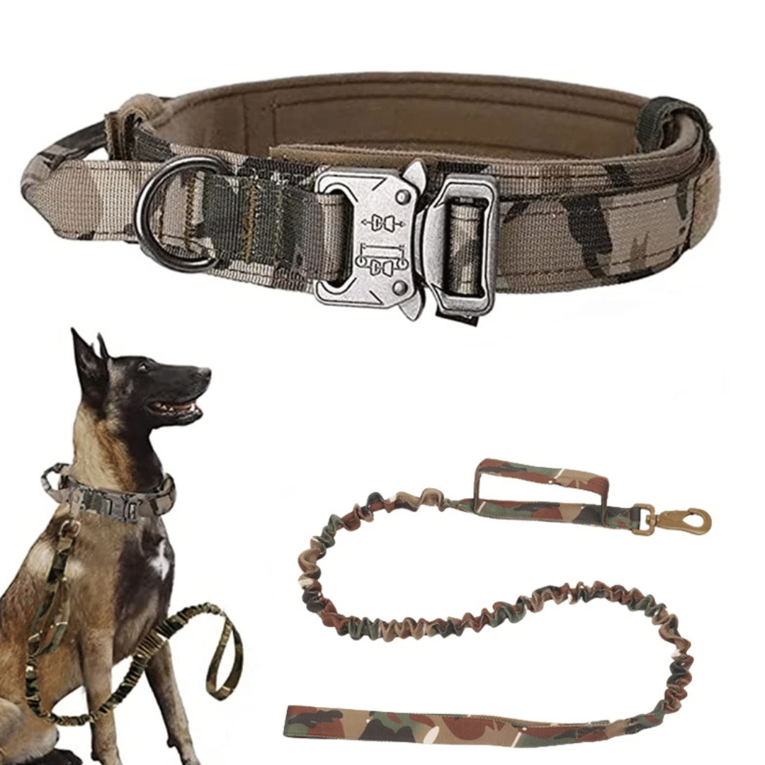 Tactical Dog Collar And Leash Set For Large Dogs