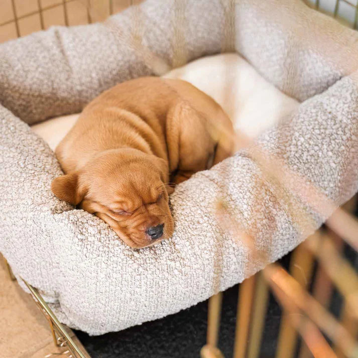 Calming Pet Bed Soft Anti-Anxiety Dog & Cat Bed