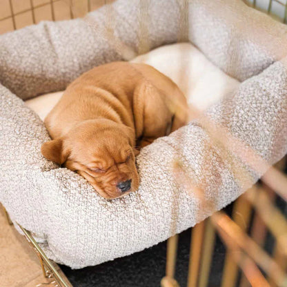 Calming Pet Bed Soft Anti-Anxiety Dog & Cat Bed