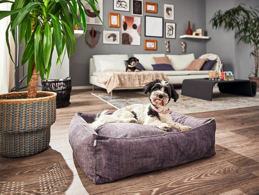 Laboni Orthopaedic Dog Bed Glam