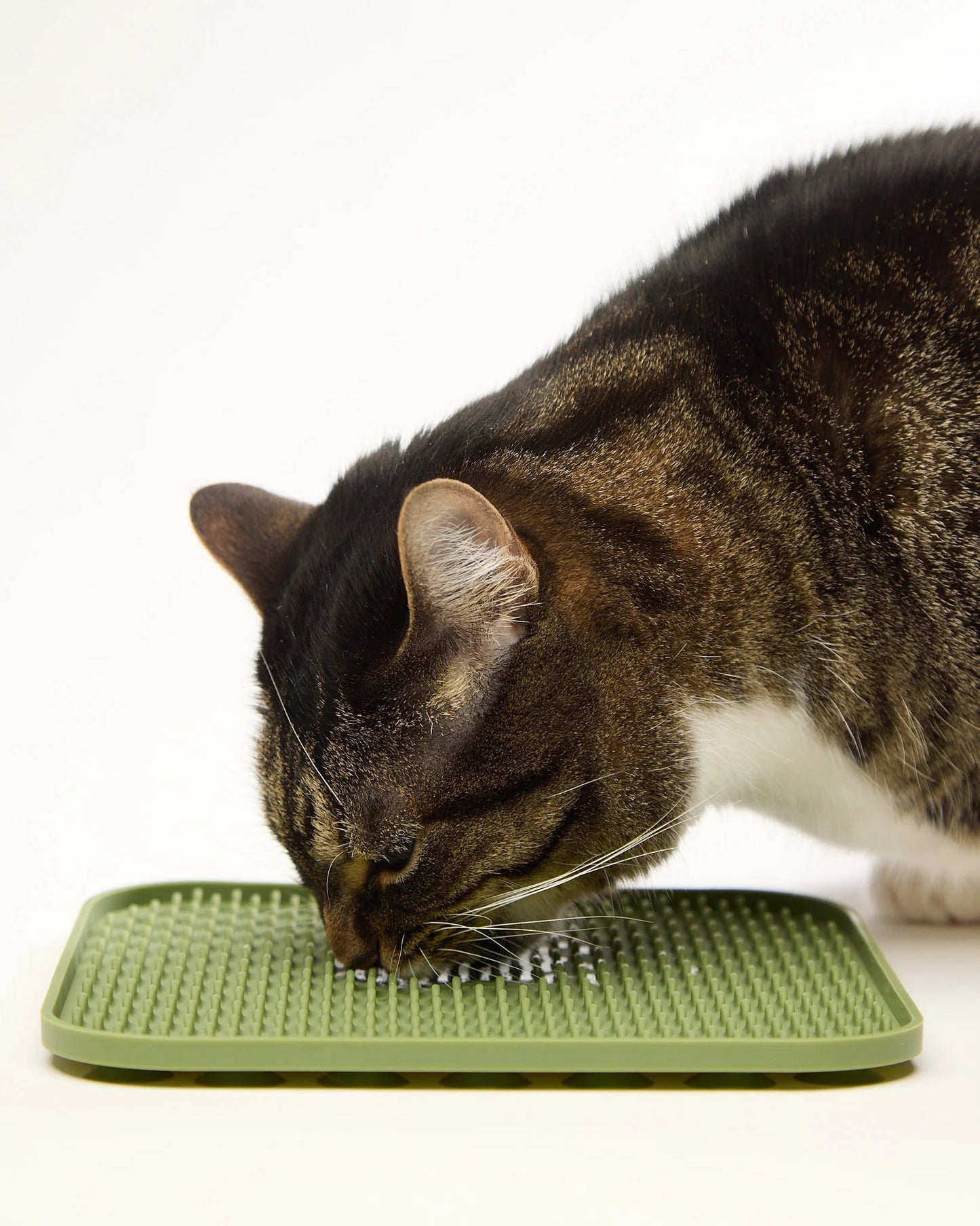 Silicone Lick Mat for Dogs & Cats – Slow Feeding & Anxiety Relief | Bakewell Pet Supplies