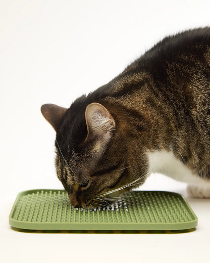 Silicone Lick Mat for Dogs & Cats – Slow Feeding & Anxiety Relief | Bakewell Pet Supplies