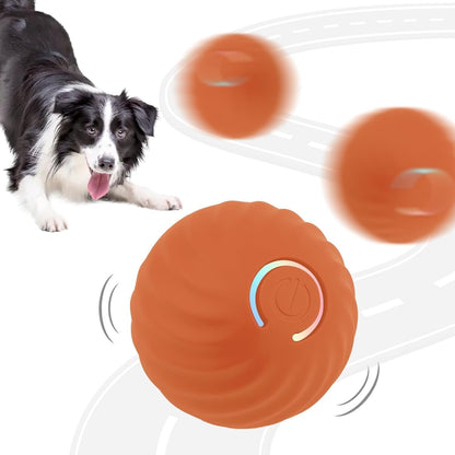 Interactive Rolling Dog Toy Ball – USB Rechargeable Smart Pet Toy | Bakewell Pet Supplies