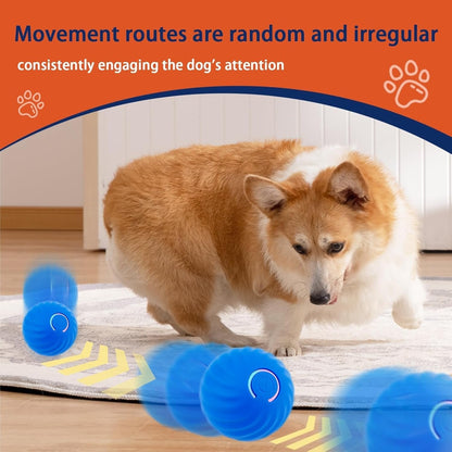 Interactive Rolling Dog Toy Ball – USB Rechargeable Smart Pet Toy | Bakewell Pet Supplies