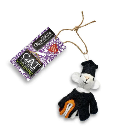 Archibald Mouse Teaser Eco Cat Toy with Catnip