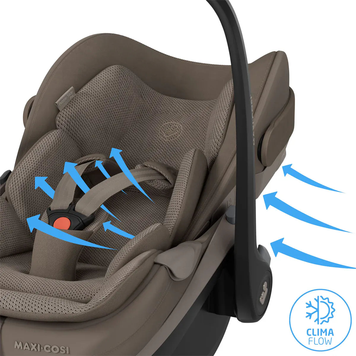 Maxi Cosi Pebble Slide Pro Car Seat and Base - Oak Truffle