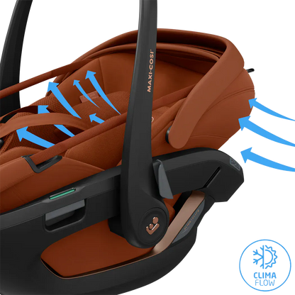 Maxi Cosi Fame (10 Piece) Ultimate Family Travel System - Copper Terra