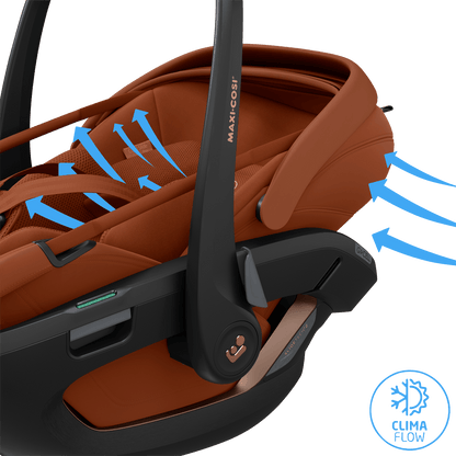 Maxi Cosi Fame (10 Piece) Ultimate Family Travel System - Copper Terra