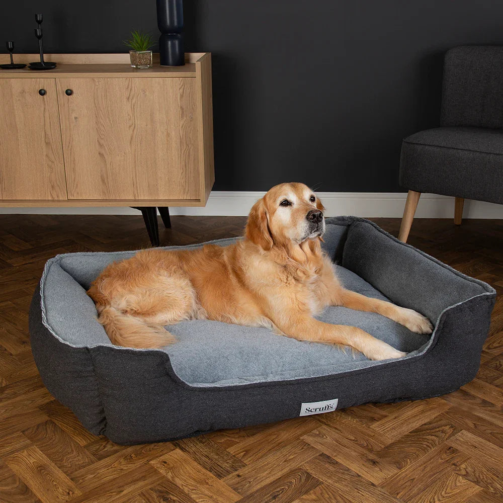 Scruffs Harvard Water Resistant Memory Foam Dog Bed