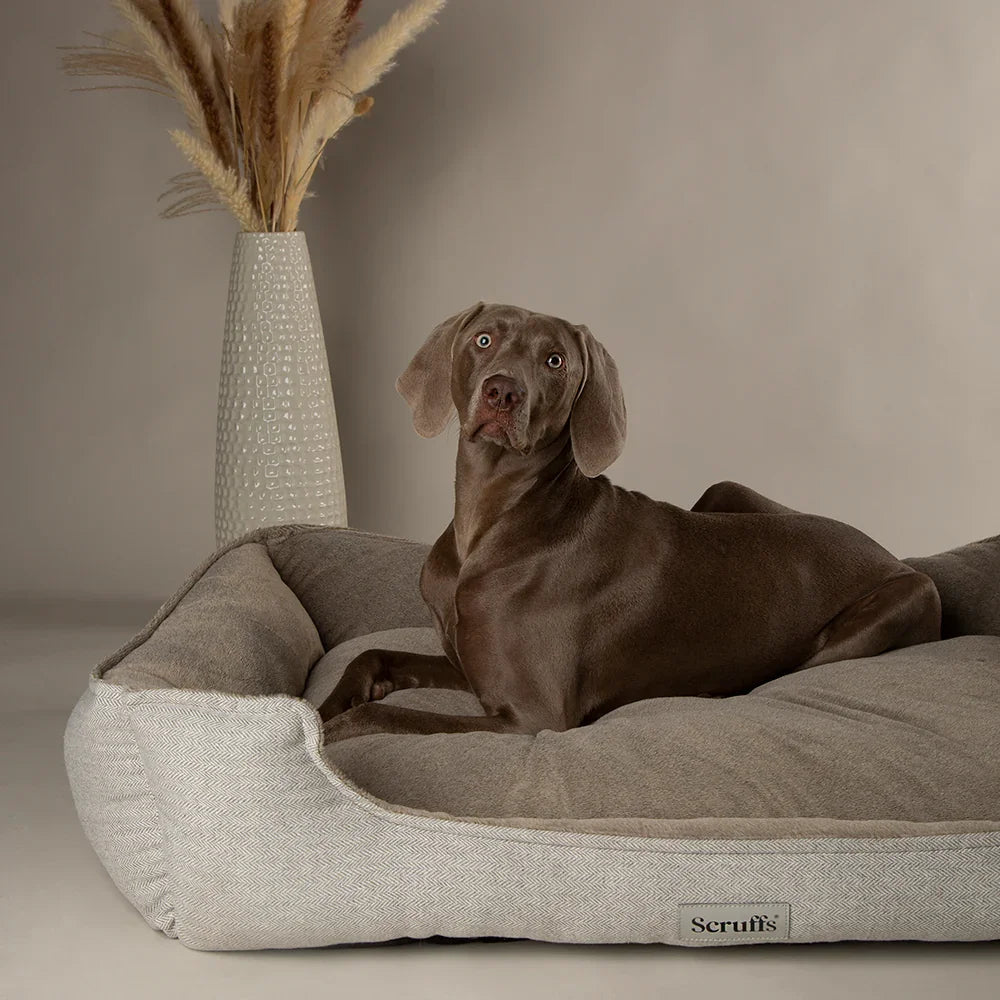 Scruffs Harvard Water Resistant Memory Foam Dog Bed