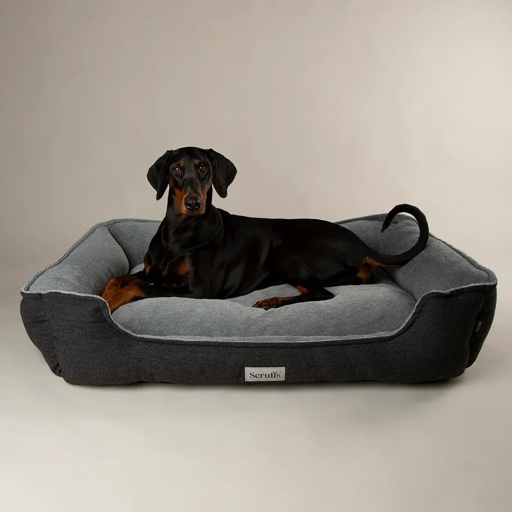 Scruffs Harvard Water Resistant Memory Foam Dog Bed