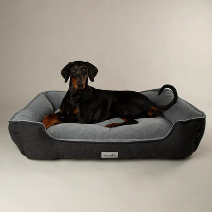Scruffs Harvard Water Resistant Memory Foam Dog Bed
