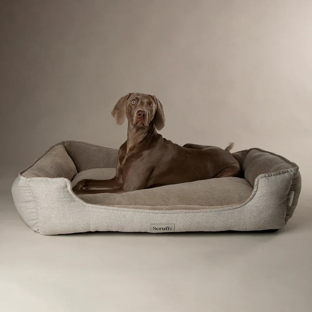 Scruffs Harvard Water Resistant Memory Foam Dog Bed